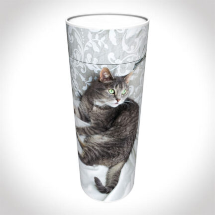 Tabby scatter tube adult size