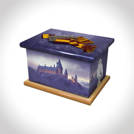 wizard red and yellow child ashes casket