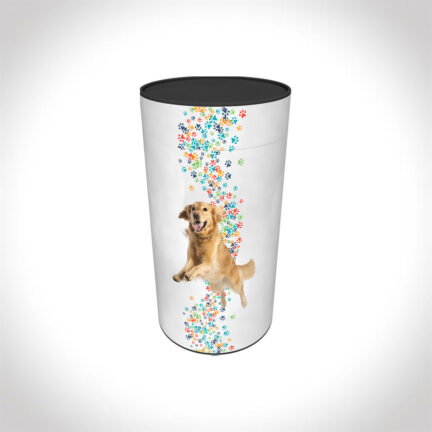 dogs child scatter tube