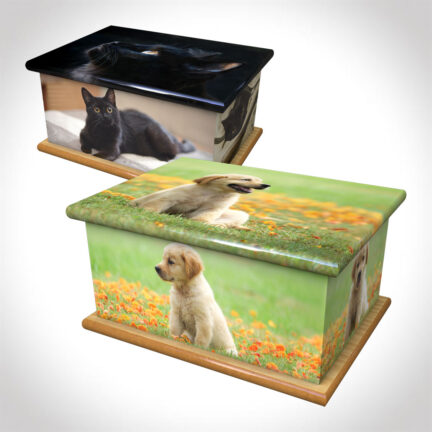For Pets Ashes Caskets